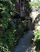 DSC02946 - Troodos Kakopetria